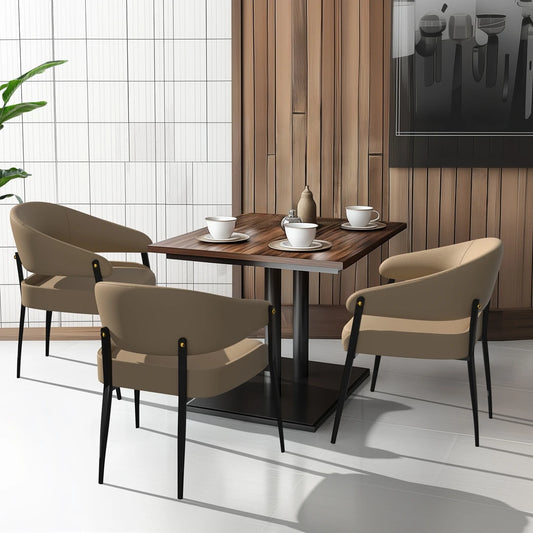 2-Piece Luxury Dining Chairs