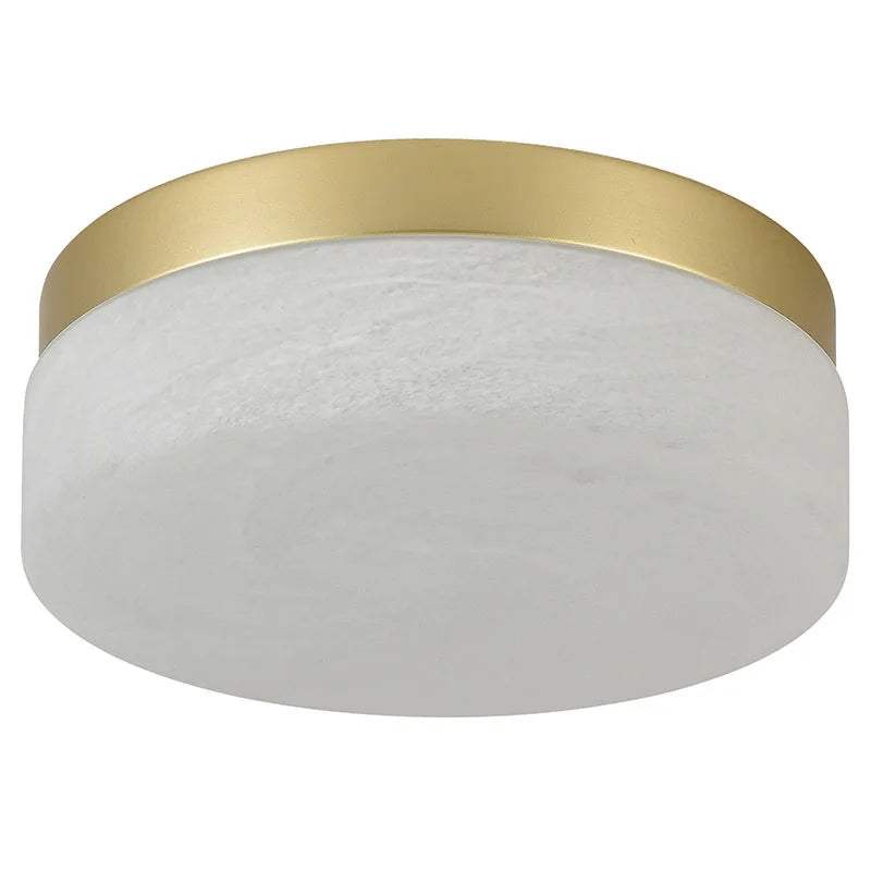 LED Flush Mount Ceiling Light