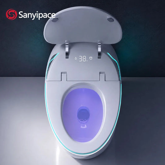Smart Toilet Seat with Bidet
