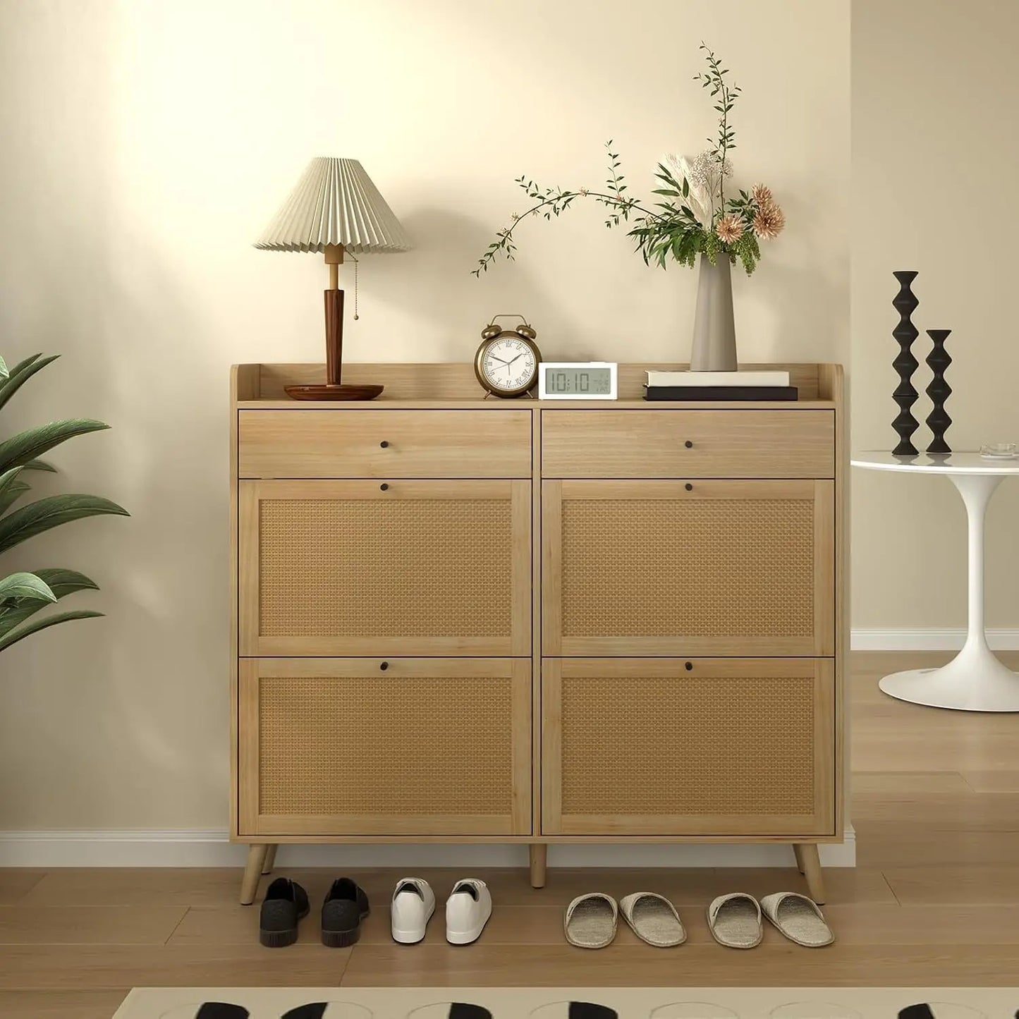 Shoe Cabinet Storage