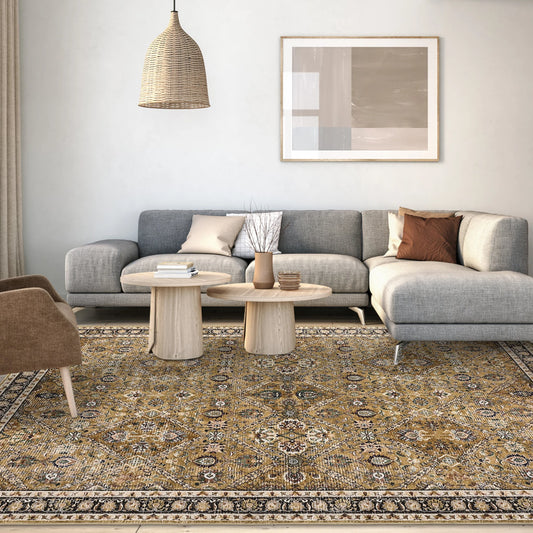 Rug for Living Room