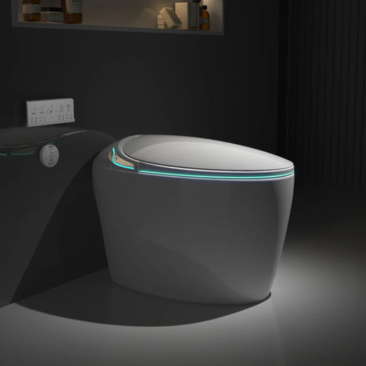 Smart Toilet with Bidet Built In
