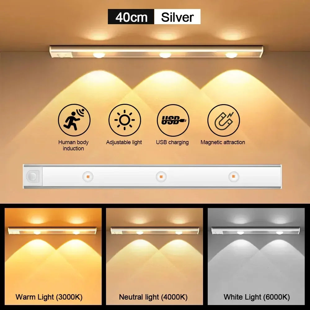 Motion Sensor Light
