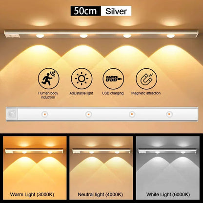 Motion Sensor Light