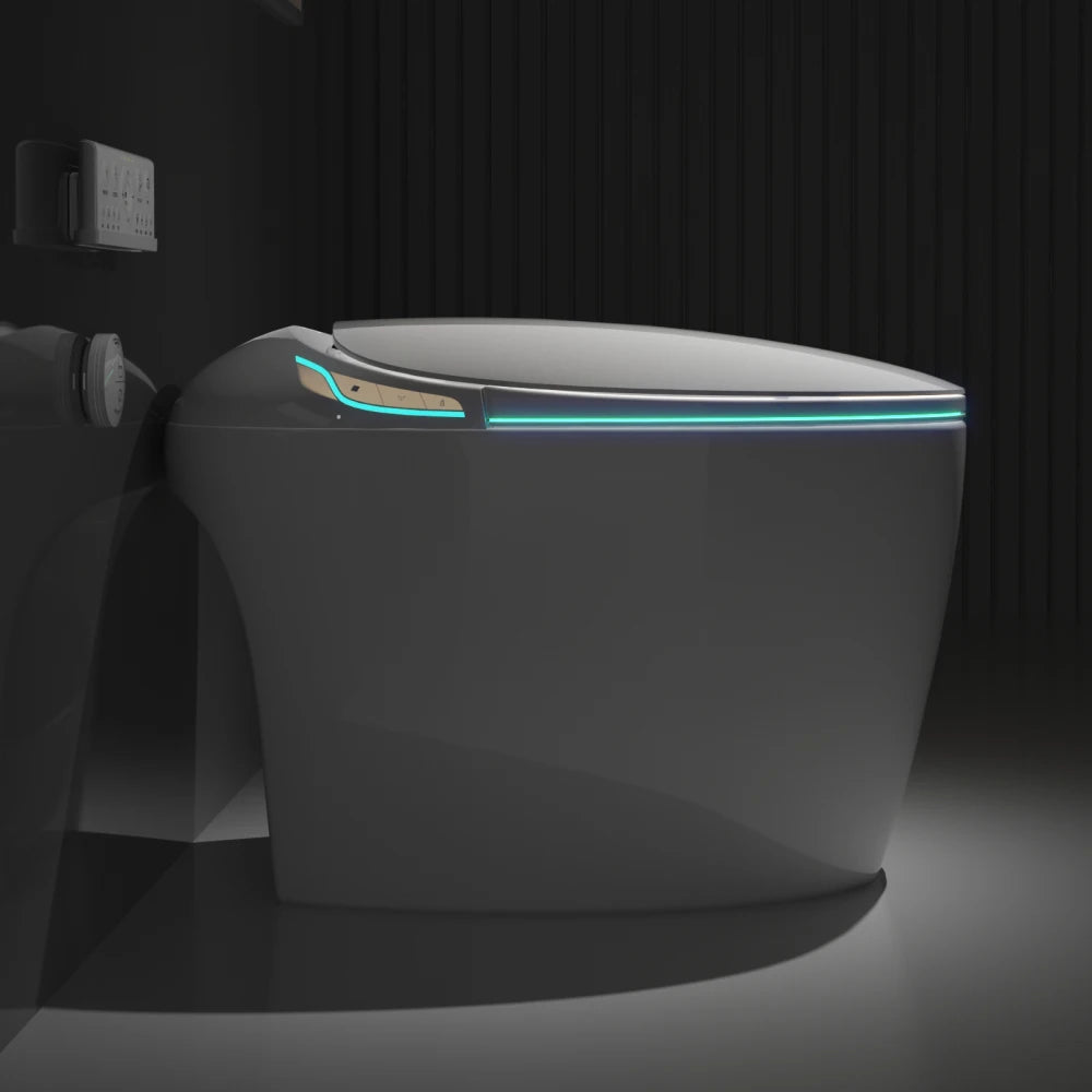 Smart Toilet with Bidet Built In