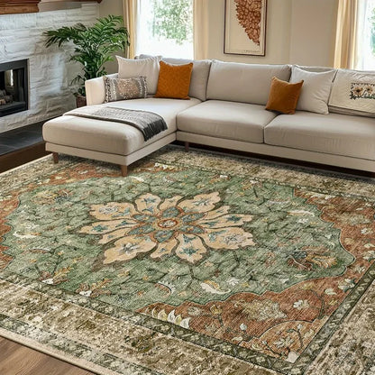 Living Room Area Rug