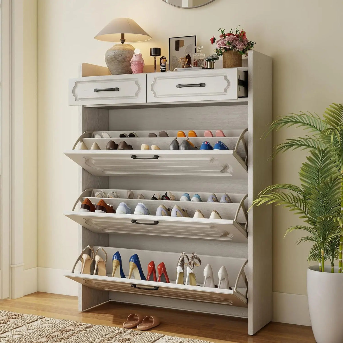 Shoe Cabinet Storage
