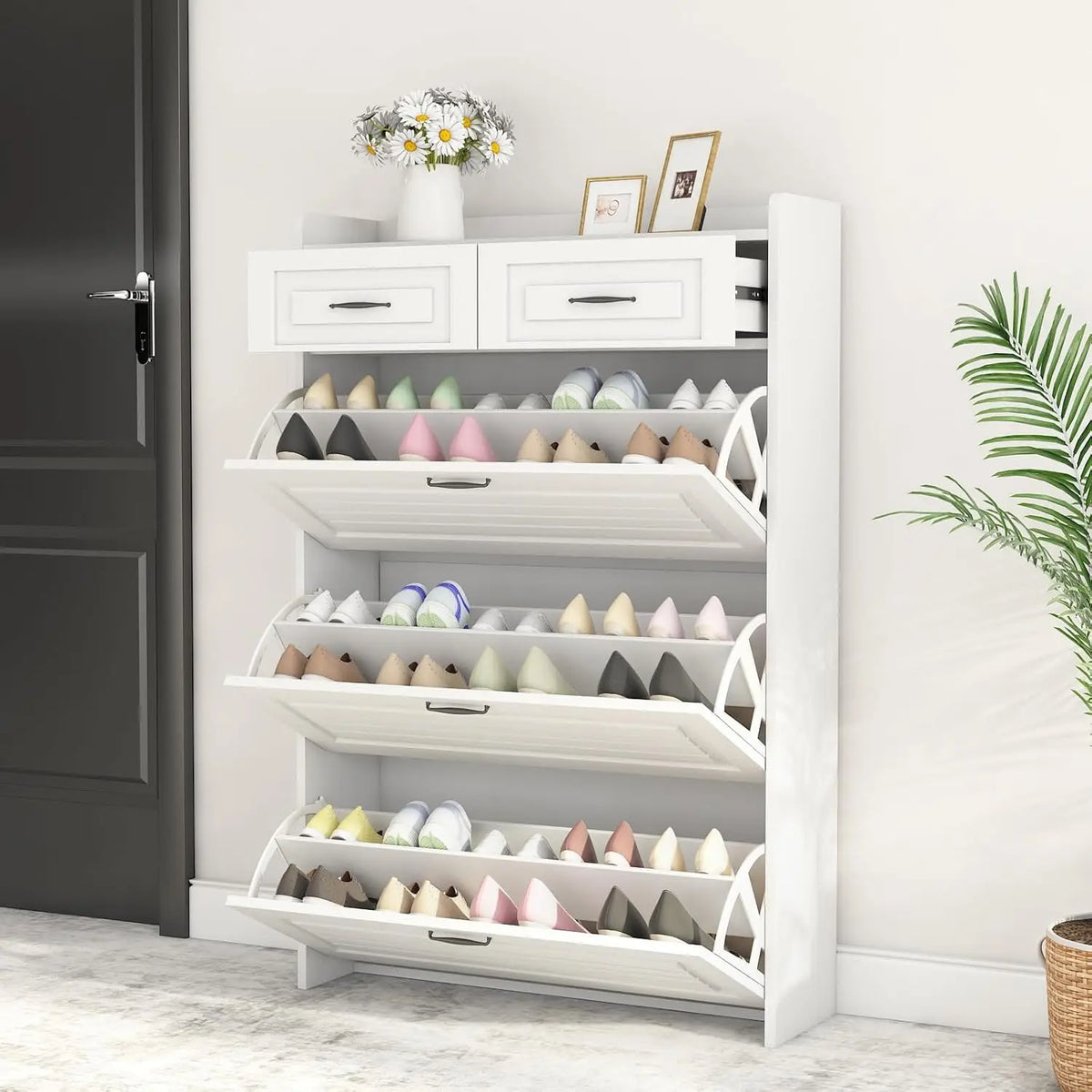 Shoe Cabinet Storage