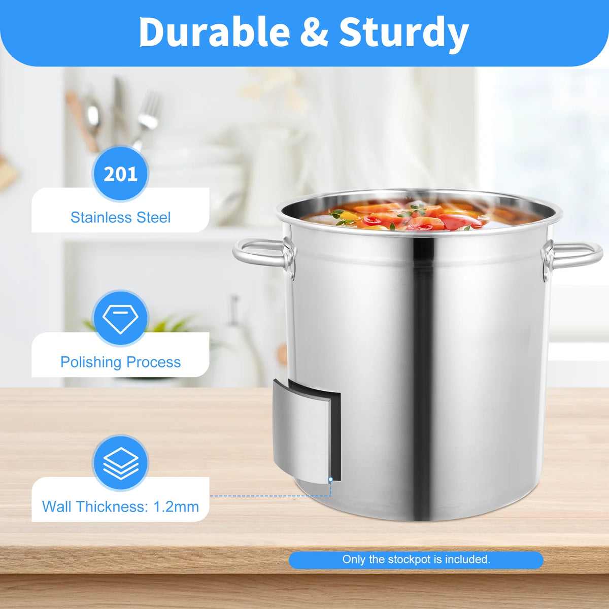 35 Soup Pot with Cover & Handles