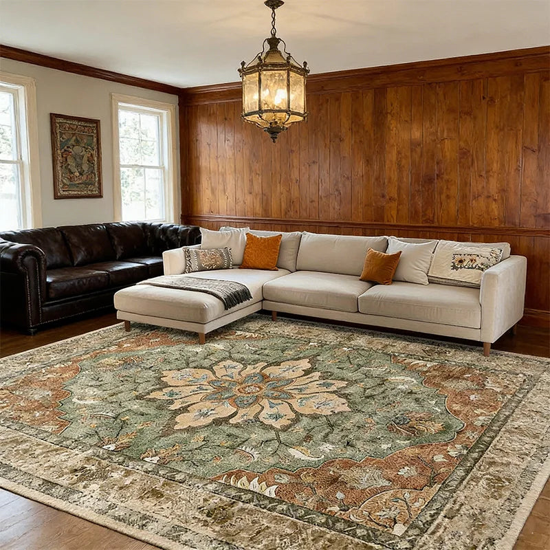 Living Room Area Rug