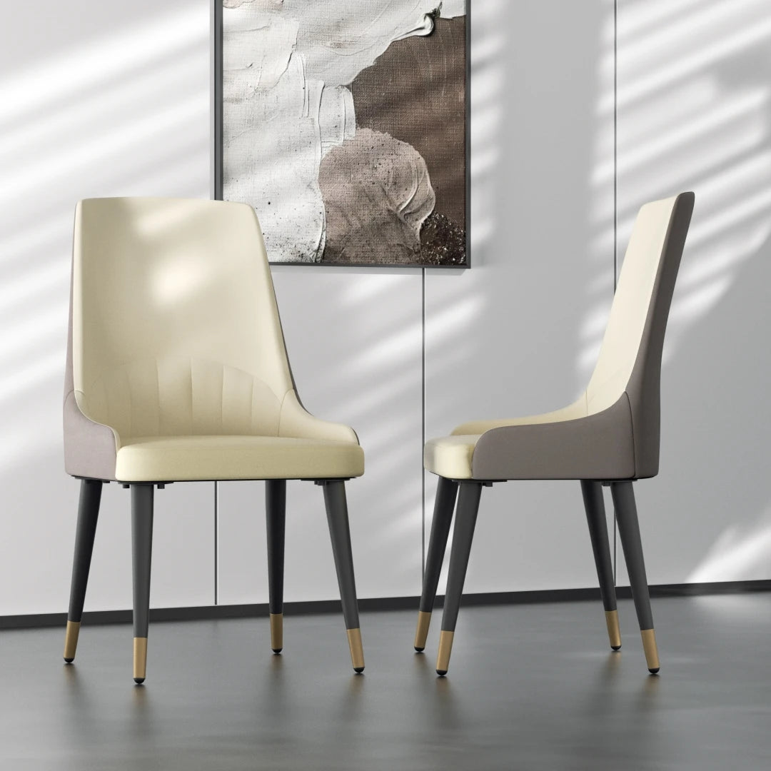 Dining Chairs Set of 2