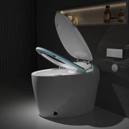 Smart Toilet with Bidet Built In