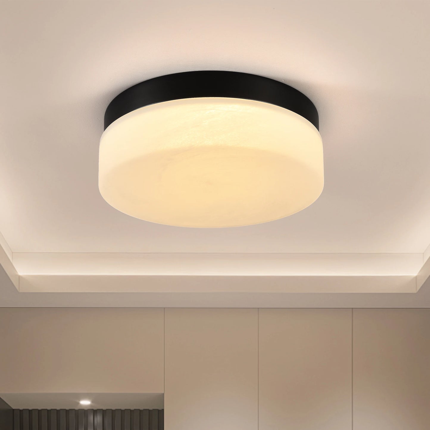 LED Flush Mount Ceiling Light