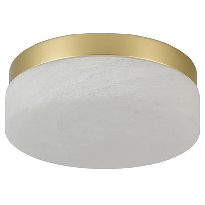 LED Flush Mount Ceiling Light