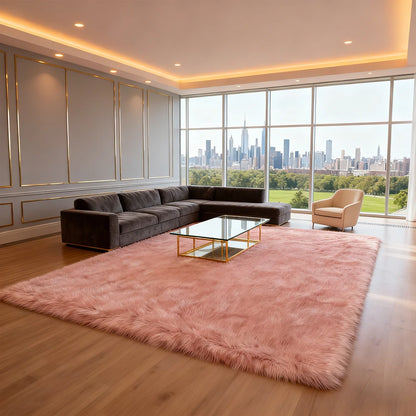Area Rugs 10x12