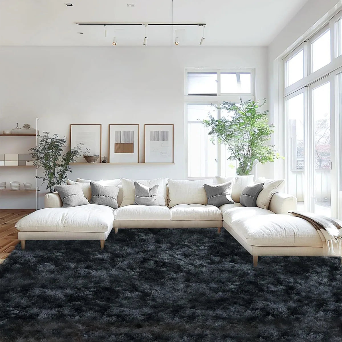 Soft Area Rugs
