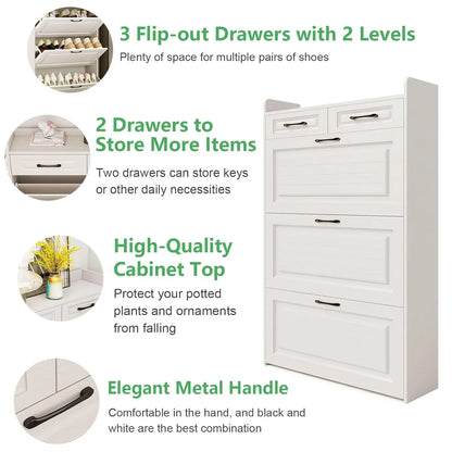 Shoe Cabinet Storage