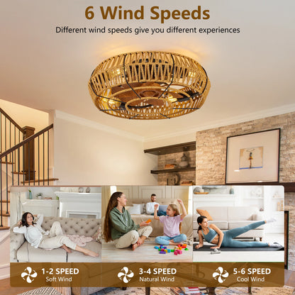 19" Caged Ceiling Fans