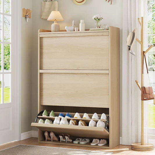 Shoe Cabinet