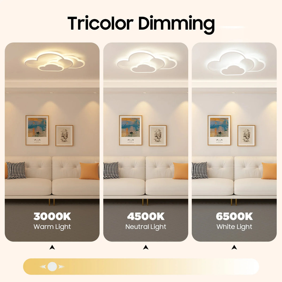 Cloud Shape LED Ceiling Light