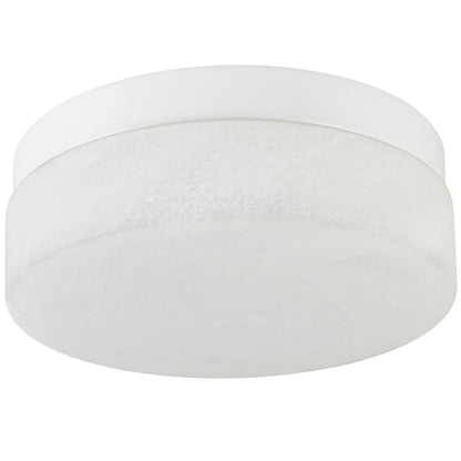 LED Flush Mount Ceiling Light