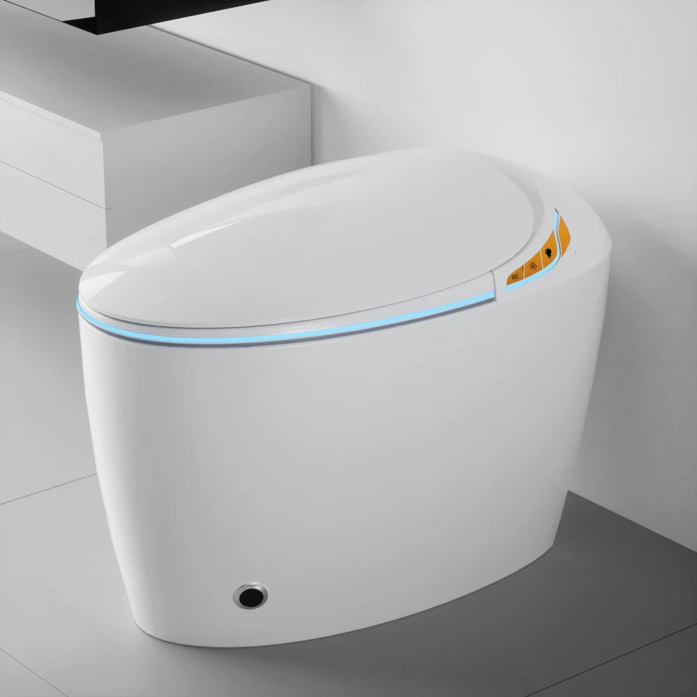 Smart Toilet with Bidet Built In
