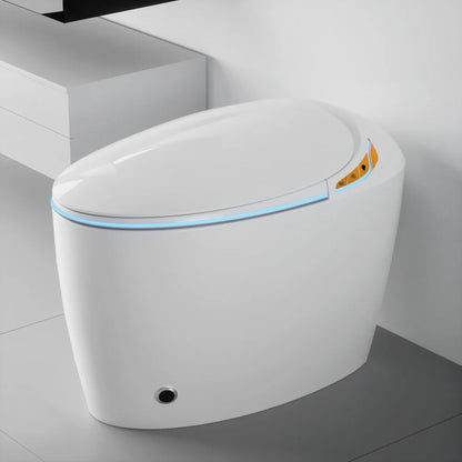Smart Toilet with Bidet Built In