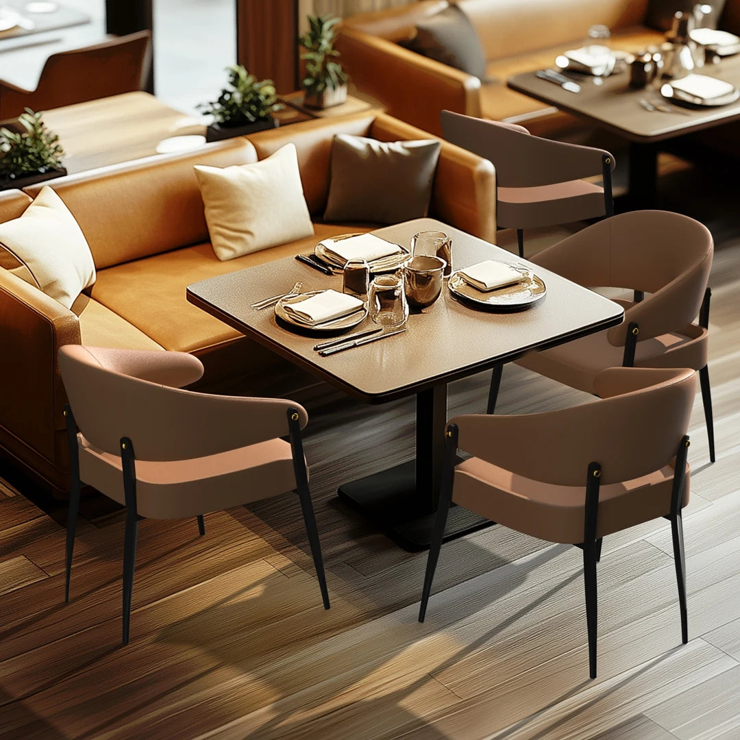 2-Piece Luxury Dining Chairs