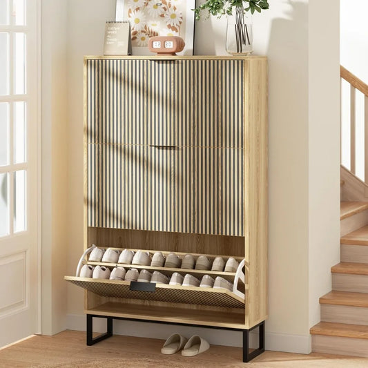 Cabinet Shoes Storage