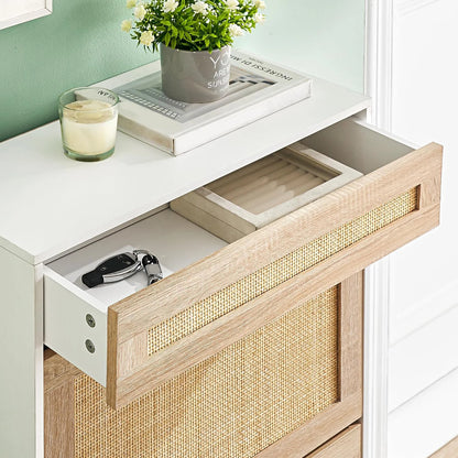 Hidden Shoe Cabinet With 2 Flip Doors 1 Drawer Narrow
