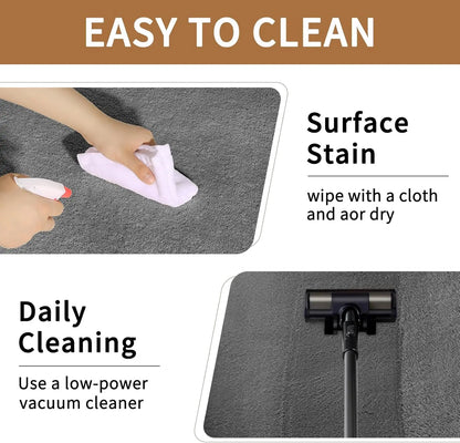 Soft Fluffy 9x12 Area Rug