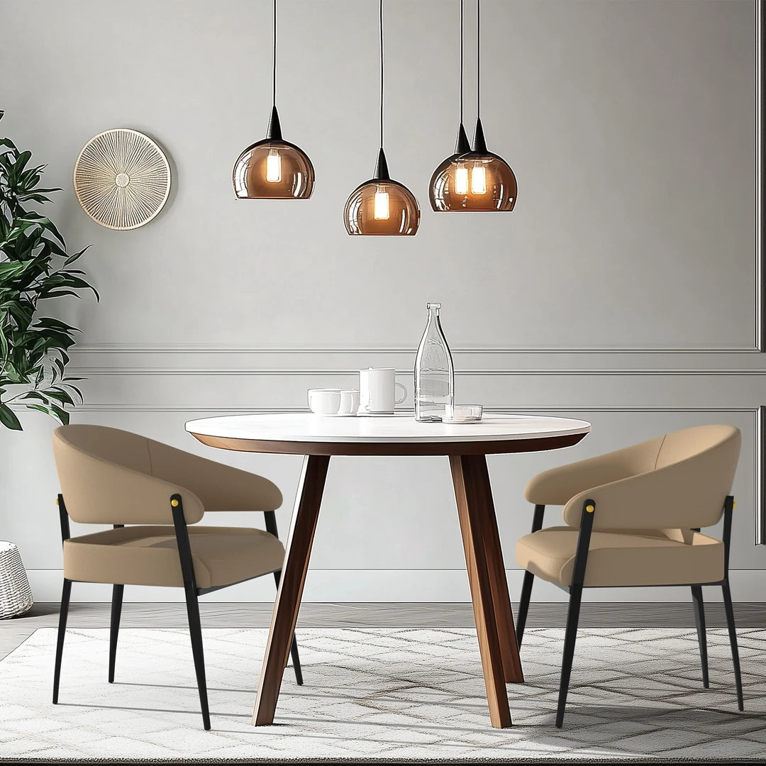 2-Piece Luxury Dining Chairs