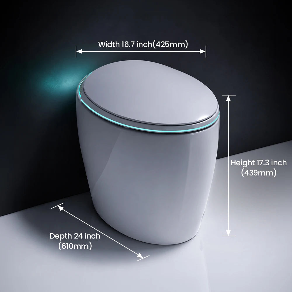 Smart Toilet Seat with Bidet